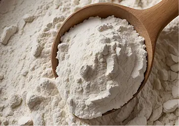 Food Powder Processing